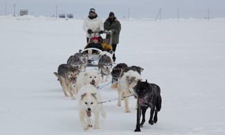 Geoff Caroll takes Andrew Cohen, Sarah Montgomery, and Jessi Basham on a dog sled ride.