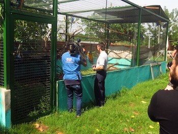 Green, right, is interviewed by a Brazilian TV station.