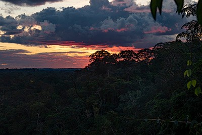 Sunset above the rainforest canopy.