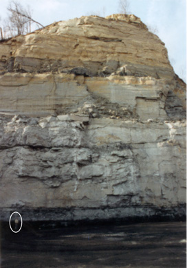 Wise Sedimentary Layers