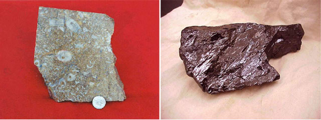Limestone and Coal