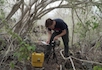 Senior biology major Conner Philson uses a spectrometer on Pinta Island
