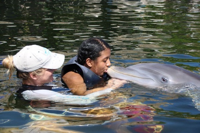 IDC provides dolphin-assisted therapeutic programs for veterans with post-traumatic stress disorder and children and families with special needs.