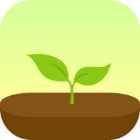 Forest app logo
