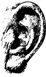 Sketch of a human ear
