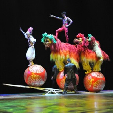 National Acrobats of the People’s Republic of China