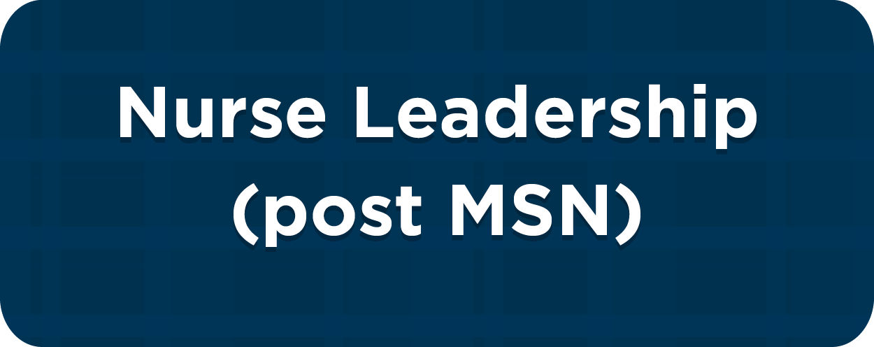Nurse Leadership (post MSN)