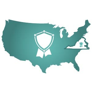 Cybersecurity-Icon-4_US