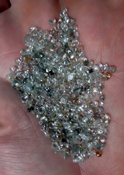 Ed Blackford displays a handful of diamonds from the Dream Hole Mining site 
