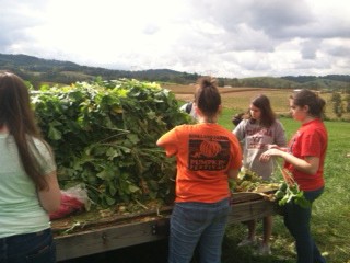 Photo of RU students gleaning 