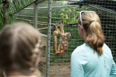 Drew Myers, right, and Morrgan Duncan, left, look at a monkey at an animal rehabilitation center in Peru. 