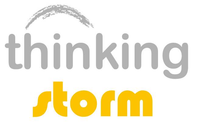 ThinkingStorm logo