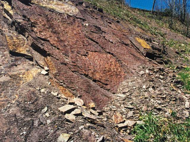 Rose Hill Formation Hematite