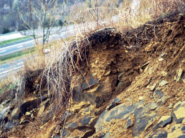 Colluvial soil