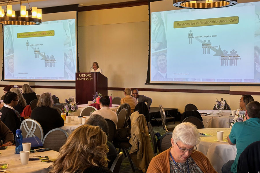 behavioral health nursing summit