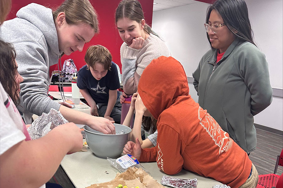 College Mentors for Kids