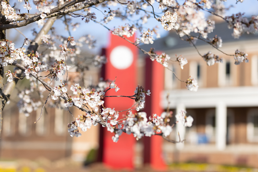 Spring tree blooms at Radford University near the Heth Hall clock
